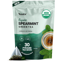 Teaniru, Spearmint Green Tea - 30 Count | For Quick Digestion & Healthy Skin | High In Antioxidants, Vitamin C & Iron | Your Anytime Elixir | Certified By Usda Organic
