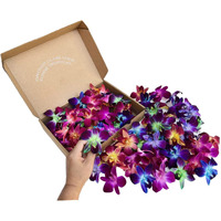 Miami Fresh Orchid Flower Orchidclub Usa Sunne Tropical Loose Bloom Head Diy Lei Food Drink Decoration (100 Rainbow)