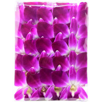 Miami Fresh Orchid Flower Orchidclub Usa Sunne Tropical Loose Bloom Diy Lei, Food & Drink Decoration (50 Purple)