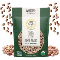1000 Springs Mill - Organic Pinto Beans | Used For Soups, Stews, Dips, Chili, Burritos, Refried Beans And More | Bulk Dry Brown Beans | Resealable Bag | Vegan Friendly | 16Oz (Pack Of 1)