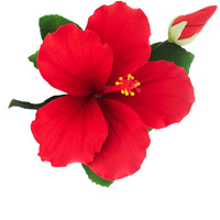 Global Sugar Art Hibiscus Sugar Cake Flowers Spray, Red Hawaiian Cake Flower Large, 1 Count By Chef Alan Tetreault