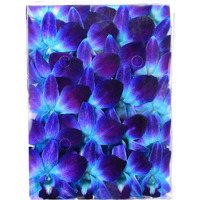 Miami Fresh Orchid Flower Orchidclub Usa Sunne Tropical Loose Bloom Diy Lei, Food & Drink Decoration (50 Blue)