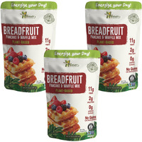 Amasar | Breadfruit Pancake And Waffle Mix |Gluten-Free Non-Gmo High-Fiber No Sugar Added | Best For Pancakes Crispy Waffles | Healthy No Preservatives Breakfast Meal | Plant Based (8.50 Ounce (Pack Of 3))