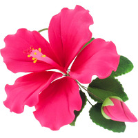 Global Sugar Art Hibiscus Sugar Cake Flowers Spray, Hot Pink Hawaiian Cake Flower Large, 1 Count By Chef Alan Tetreault