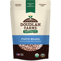Organic Dried Pinto Beans 1Lb Bulk By Doudlah Farms - Farmed From Regenerative Soil | Tested Clean Certified | Vegan, Non-Gmo, Grown In Usa - Fiber & Protein For Soups, Burritos, Salads, And Chili