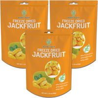 (Pack Of 3) Nokki Farm Freeze Dried Jackfruit Chips | Dried Fruit Snacks | Unsweetened Dried Jackfruit Chips | Gluten Free Healthy Snacks | Vegan, Non Gmo | 50G