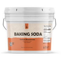 Pure Original Ingredients Baking Soda (1 Gallon) Aluminum Free, Cooking, Baking, Cleaning