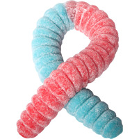 The Gummy Bear Guy | Sour World's Largest Gummy Worm | Cherry/Blue Raspberry (Cherry/Blue Raspberry)