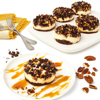 David's Cookies Turtle Chocolate Pecan Mini Cheesecakes - 6Pcs Of Gourmet Bite-Sized Treats - Decadent Crunchy Pecans Made With Only The Finest Ingredients