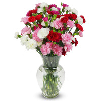 Benchmark Bouquets - 20 Stem Rainbow Mini Carnations (Glass Vase Included) - Fresh Flowers For Delivery - Gift For Graduation, Birthday, Anniversary, Sympathy, Get Well, Congratulations
