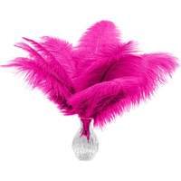 Piokio 10Pcs Hot Pink Ostrich Feathers 10-12 Inch (25-30Cm) Bulk Feathers For Home Decoration And Diy Clothing And Diy Clothes Decoration, Gatsby Decorations