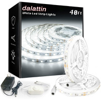 Dalattin White Led Strip Lights, 40Ft Dimmable Led Light Strip 6500K Bright Daylight White 24V, 720 Leds 2835 Tape Lights For Bedroom, Kitchen, Mirror, Home Decoration(2 * 20Ft)