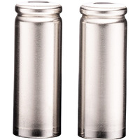 Nextgen Remote Extender Rechargeable Power Cell Pack Of 2