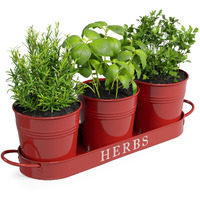 Barnyard Designs Farmhouse Herb Garden Planter Indoor Planter Set With Tray Or Outdoor Apartment Window Planter Box, Windowsill Planter Box, Indoor Herb Planter Garden Pots Herb Pots, Red, Set3