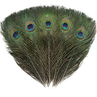 24 Pcs Real Natural Peacock Eye Feathers 10-12 Inch For Diy Craft, Wedding And Holiday Decorations