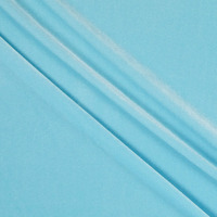 Stretch Velvet Baby Blue, Fabric By The Yard