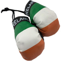 Hanging Car Mirror Mini Boxing Gloves (Ireland)