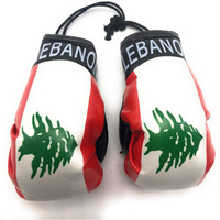 Red Hat Ent Hanging Car Mirror Mini Boxing Gloves (Lebanon)
