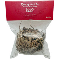 Rose Of Jericho Flower The Resurrection Plant  Pack Of 1 Dried Rose  Sacred Rose, Doradilla Plant  3 - 4 Each (1)