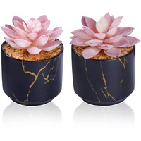 Zenida Succulent Artificial Plants,Cute Fake Succulents In 2 Black Ceramic Pots,Small Fake Plants For Office,Table,Desk,Bathroom, Bedroom,Aesthetic Room Shelves Decor,Desk Decorations For Women Office