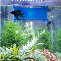 Seeshelter Brand Betta Tunnel (Translucent Lagoon Blue)