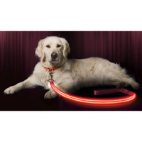 Illumiseen Led Light Up Dog Leash  Ultra High Visibility Up To 350 Yards  3 Lighting Modes  Usb Rechargeable, No Batteries Needed  Padded Handle  Rotating Swivel Clasp To Prevent Leash Tangling
