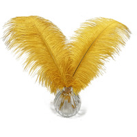 Happy Feather 16-18 Inch Gold Ostrich Feathers Craft For Wedding Party Centerpieces Home Decoration Diy Craft Pack Of 10