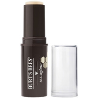Burts Bees Opal Mist All Aglow Highlighter Stick, 0.32 Oz