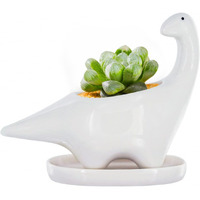Gelive White Dinosaur Ceramic Succulent Planter Flower Plant Pot Window Box With Saucer Cartoon Animal Decor, 5 Inch, Indoor Outdoor
