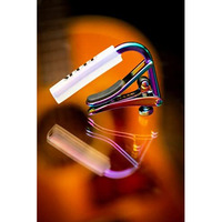 Shubb 'Paua Pearl' Steel String Guitar Capo ~ Iridescent Sc1P