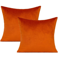 16X16 Set Of 2 Burnt Orange Fall Throw Pillow Covers Decorative Thanksgiving Decor Autumn Rust Velvet Outdoor Couch Decorative Cushion Cases Home Decoration For Porch Patio Sofa Bedroom Car