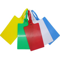 Plastic Seals Shipping Tags Logistics Use Big Sign Tie Large Label Tie, 255Mm Total Length, Package Of 100Pcs (5 Colors Mixed)