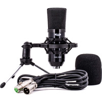 Cad Audio Gxl1800 Large Format Side Address Condenser Microphone- Perfect For Studio, Podcasting & Streaming, Black