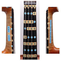 Fantastic Finger Guide For Violins | Stringed Musical Instruments | Fingerboard And Fretboard Stickers For Learning All Notes | Kids/Adult Beginner Violin Finger Guide | Play Or Fiddle, 4/4-Size