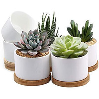Zoutog Succulent Pots, White Mini 3.15 Inch Ceramic Flower Planter Pot With Bamboo Tray, Pack Of 6 - Plants Not Included