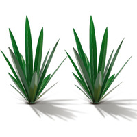 Homight Metal Tequila Country Sculpture Diy Tequila Plant Home Decor Country Tequila Garden Ornament Indooutdoor Statuette Patio Lawn Patio Stake Decoration Gift To The Garden