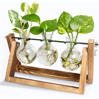 Ivolador Desktop Propagation Station, Bulb Plant Terrarium With Retro Solid Wooden Stand And Metal Swivel Holder For Hydroponics Plants Home Garden Wedding Decor (3 Bulb-C Type)