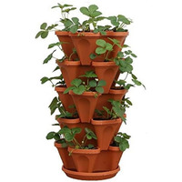 Mr. Stacky 5-Tier Strawberry Planter Pot, 5 Pots