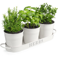 Barnyard Designs Indoor Herb Garden Planter Set With Tray, Metal Windowsill Plant Pots With Drainage For Outdoor Or Indoor Plants, White, Set/3