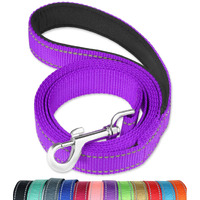 Funtags 6Ft Reflective Dog Leash With Soft Padded Handle For Training,Walking Lead For Large & Medium Dog,1 Inch Wide,Purple
