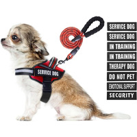 Service Dog Vest Harness And Leash Set, Animire In Training Dog Harness With 10 Dog Patches, Reflective Dog Leash With Soft Padded Handle For Small, Medium, Large, And Extra-Large Dogs (Red,Xs)