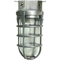 Woods L1706Bs Vandal Resistant 150W Incandescent Security Light, Ceiling Mount, Compatible With Up To 50 Watt Standard Base Bulbs, Brushed Steel