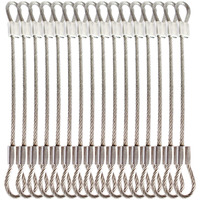 Bytiyar 20 Pcs 6 Inch (15Cm) 3Mm Thickness Stainless Steel Wire Cable With Loops Vinyl Cover Coated Short Rope Lanyard Lock Safety Tether Chains, Clear