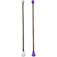 Dasiyoki Twirling Baton 2 Pieces Spinning Dance Baton Metal Gymnastics Parade Stick For Child In Majorette (Mixed Version, 2 Pack)