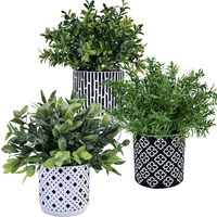 Winlyn 3-Pack Artificial Potted Plants - Faux Eucalyptus, Rosemary, Boxwood Greenery In Small Black & White Geometric Concrete Pots -Desk, Table, Shelf, Windowsill Decor For Indoor Outdoor Home Office