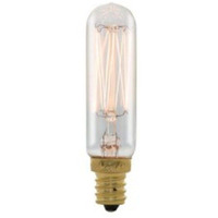 Bulbrite 132507 - 25 Watt 120 Volt T6 Candelabra Screw Base Clear (25T6/Sq/E12)