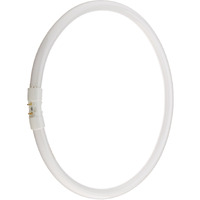 Bulbrite Fc12T5 841 12-Watt Circline Fluorescent T5 Bulb, 800 Series, 4100-Kelvin, 2Gx13 Base, 12-Inch Diameter