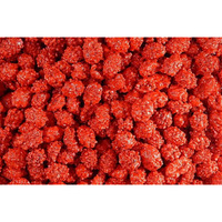 The Nutty Fruit House French Burnt Peanuts Candy (1 Pound (Pack Of 1))