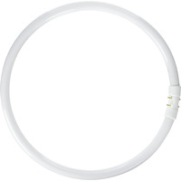 Prolume Bc9276 109084 - Fc40T5/835 Circular T5 Fluorescent Tube Light Bulb