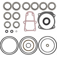 5006373 Gearcase Seal Kit - By Huthbrother, Compatible With Johnson Evinrude 396354 434516 437752 437753 438278 439141 5000411, Fits Model 75-250 Hp